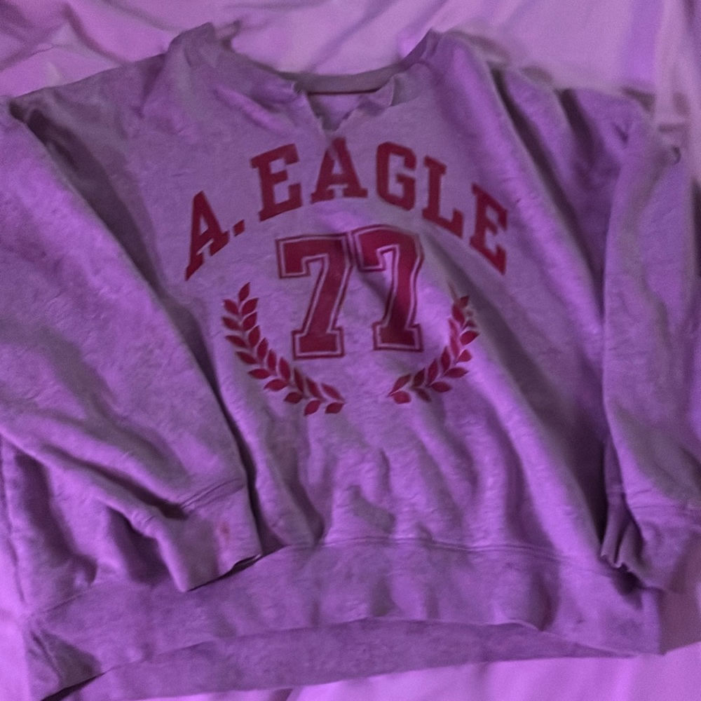 A American Eagle, gray crown neck that size small